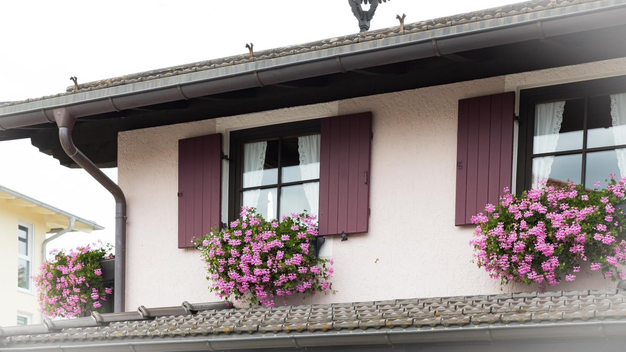 Gaestehaus Sattlerhof 基姆湖畔贝尔瑙 外观 照片